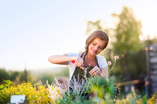 Healthy lawn care and edging in a Harlesden garden