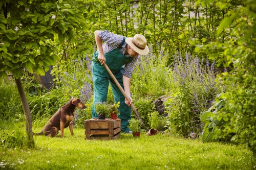 Gardeners in Harlesden working on a tidy urban garden