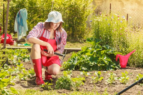 Well-maintained Harlesden fencing providing long-lasting privacy and security