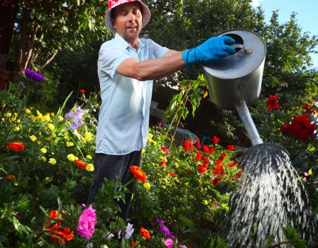 Professional garden clearance improving safety in Harlesden