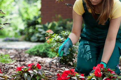 Illustration of a resolved gardening service complaint