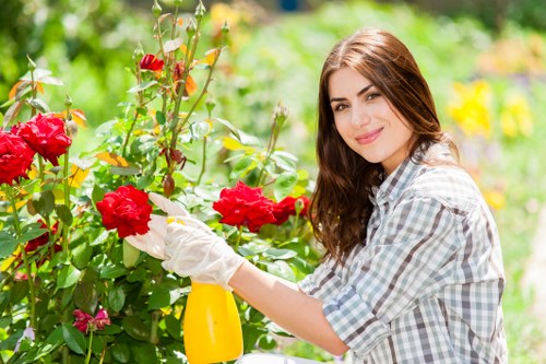 Seasonal garden maintenance in Harlesden with shrubs and paved pathways