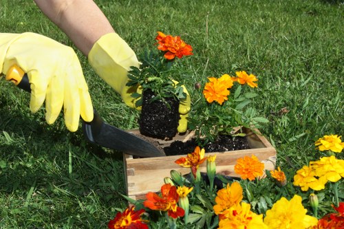 Green waste being separated for composting routes