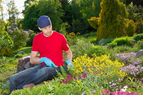 Overgrown garden waste being cleared in Harlesden