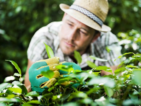 Sustainable gardening materials and recycling in Harlesden
