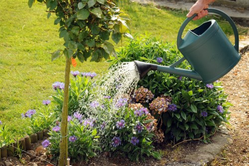 Urban garden layout ideas for Harlesden homes with privacy screening