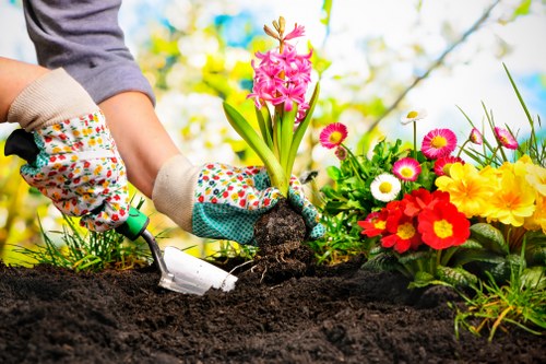 Garden clearance and tidy-up service for a Harlesden property