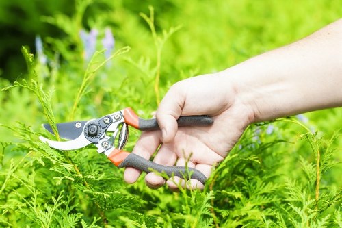 WCAG 2.1 AA compliant service information for Harlesden gardeners