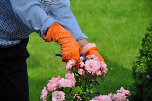 Seasonal lawn care work in a Harlesden residential yard