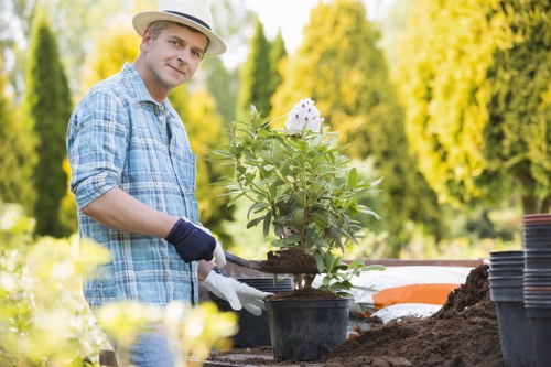 Local gardener trimming hedges and maintaining a Harlesden lawn