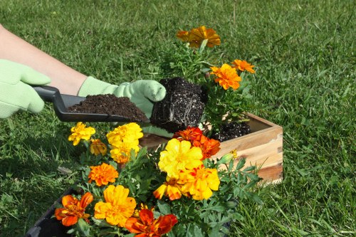 Professional gardeners Harlesden following insurance and safety standards