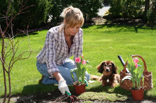 Garden safety planning with equipment inspection and risk awareness