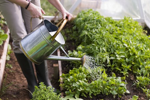 Seasonal garden maintenance in Harlesden with fresh planting