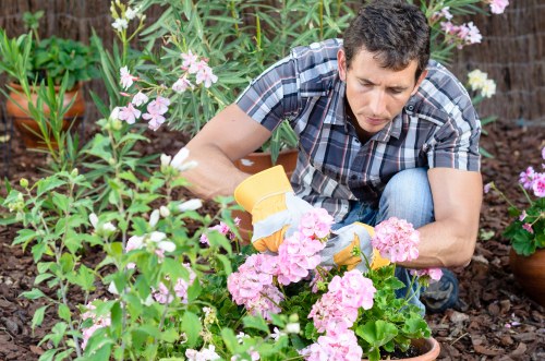 Professional outdoor space care and landscaping in Harlesden