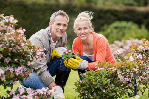 Professional Harlesden gardener refreshing a residential outdoor space