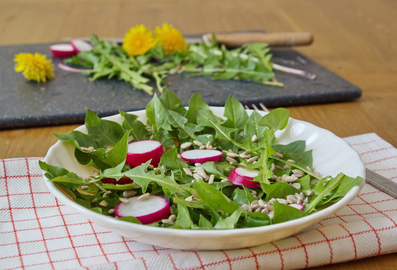 garden maintenance garden design