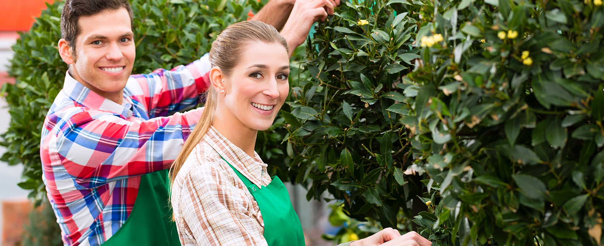 Gardeners Harlesden